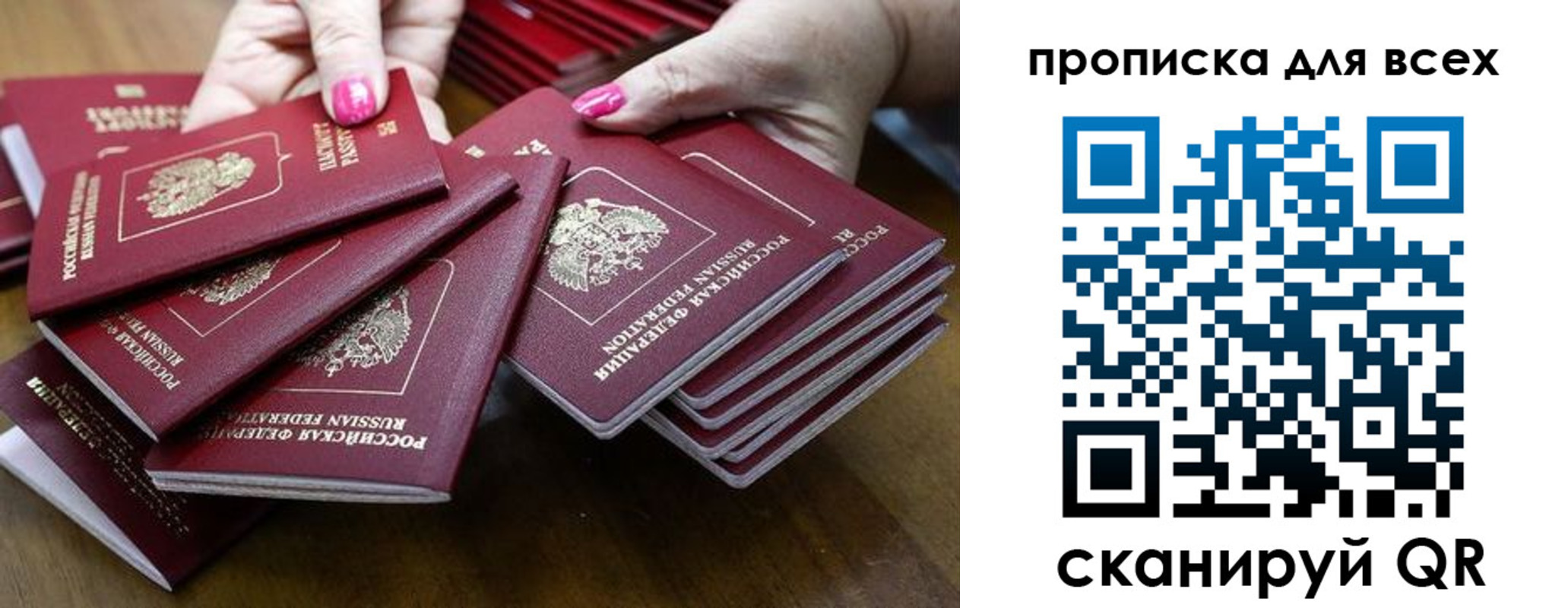прописка гарантия в Шали